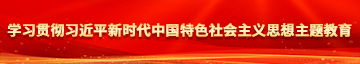 操处女逼视频直播室学习贯彻习近平新时代中国特色社会主义思想主题教育